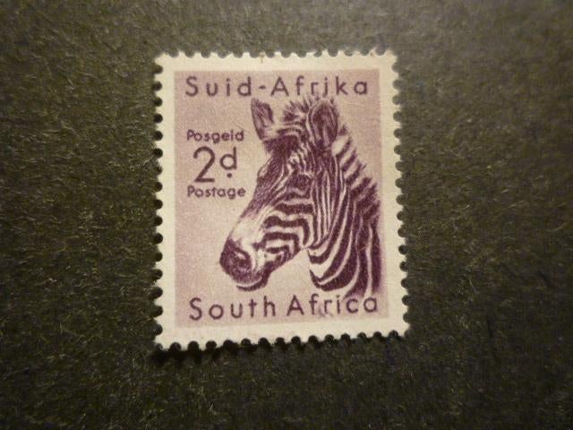 Zuid-Afrika/Afrique du Sud 1954 Mi 242(o), Enlèvement ou Envoi, Afrique du Sud