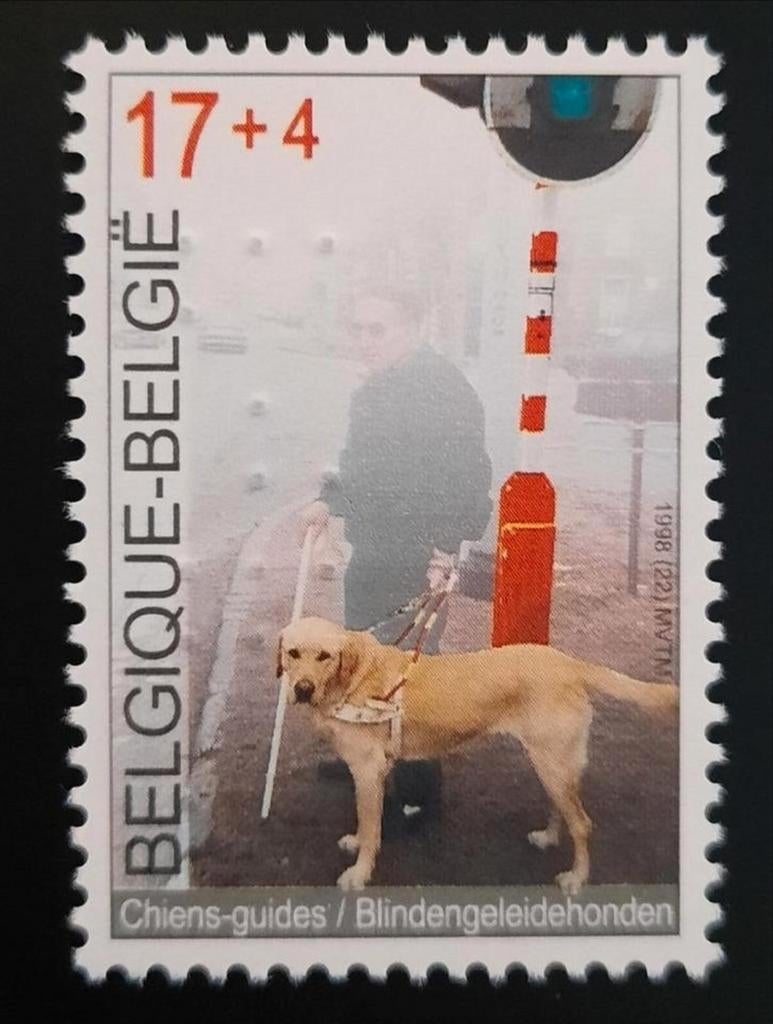 Belgique : COB 2789 ** Solidarité 1998., Sans timbre, Neuf, Enlèvement ou Envoi, Non oblitéré