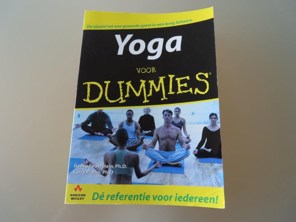 Yoga voor Dummies – Georg Feuerstein, Ph.D., Larry Payne, Ph, Livres, Ésotérisme & Spiritualité, Enlèvement ou Envoi, Méditation ou Yoga