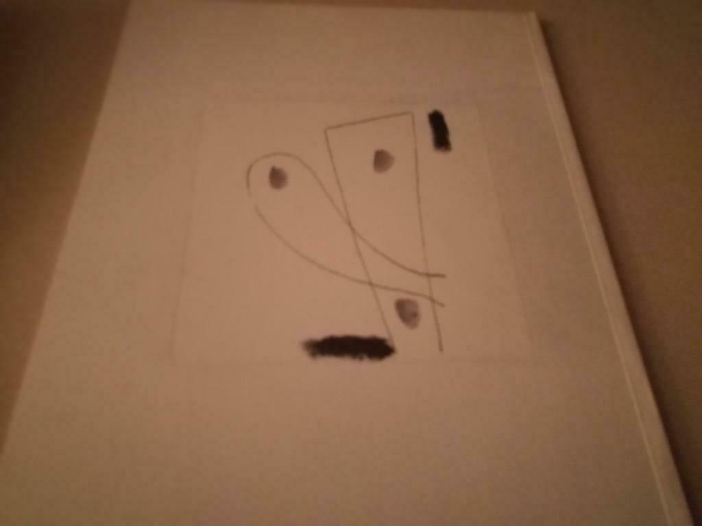 Agnes Maes tekeningen 40pag 35ill, Ophalen of Verzenden, Nieuw, Schilder- en Tekenkunst