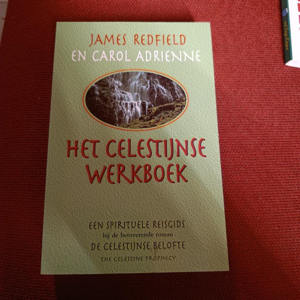James Redfield - Het Celestijnse werkboek, Boeken, Ophalen of Verzenden, James Redfield