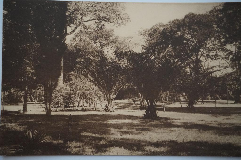 Carte postale Congo, Enlèvement ou Envoi, Non affranchie, Hors Europe