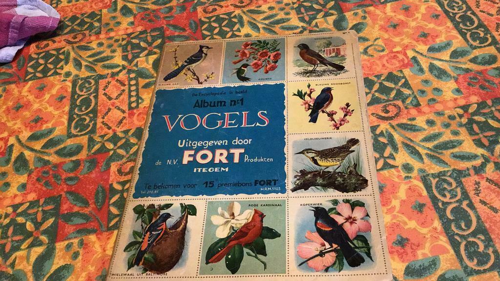 Vogels fort(+), Boeken, Prentenboeken en Plaatjesalbums, Ophalen of Verzenden, Gelezen, Prentenboek