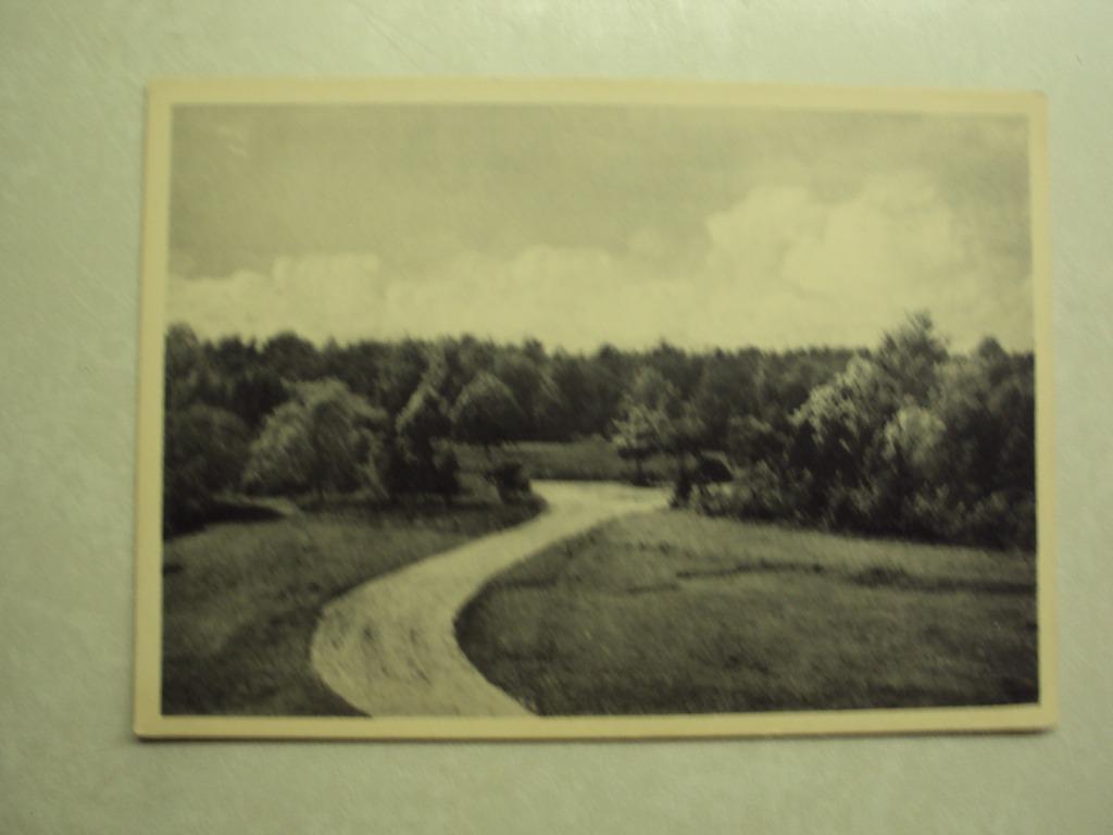 54799 - WEELDE - RUSTOORD EMMAUS - ZICHT OP HET PARK, Envoi