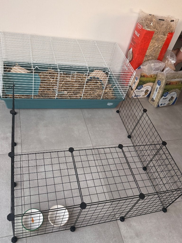 Starterspakket konijn of cavia, 110 cm of meer, Nieuw, Hok, Cavia
