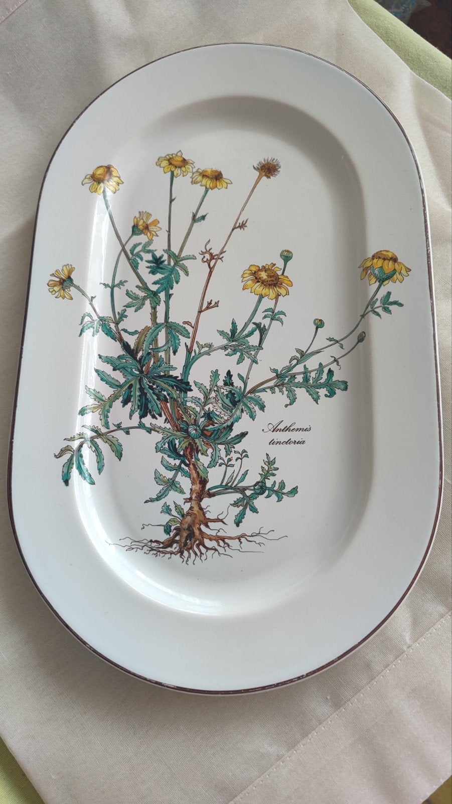 Plat Villeroy et Boch Botanica, Antiquités & Art, Enlèvement ou Envoi