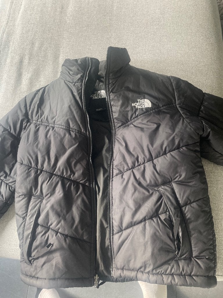 The North Face winterjas, Vêtements | Hommes, Enlèvement ou Envoi, Taille 46 (S) ou plus petite, Noir, The north face