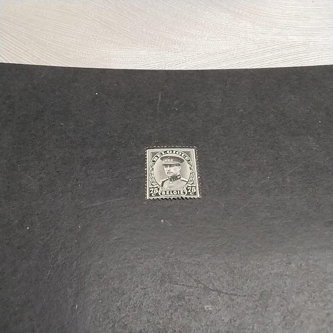 BELGIE  384 postfris met cote 1,50 €, Ophalen of Verzenden, Postfris