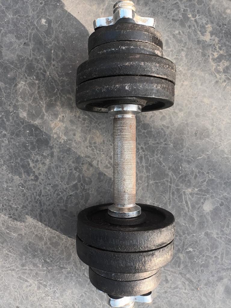 Halters 2x 10 kg, Ophalen, Gebruikt, Armen, Dumbbell