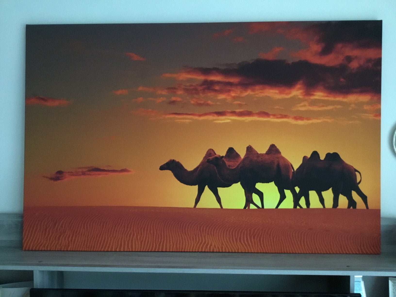 Canvas met kamelen in woestijn 80€, Antiek en Kunst, Ophalen