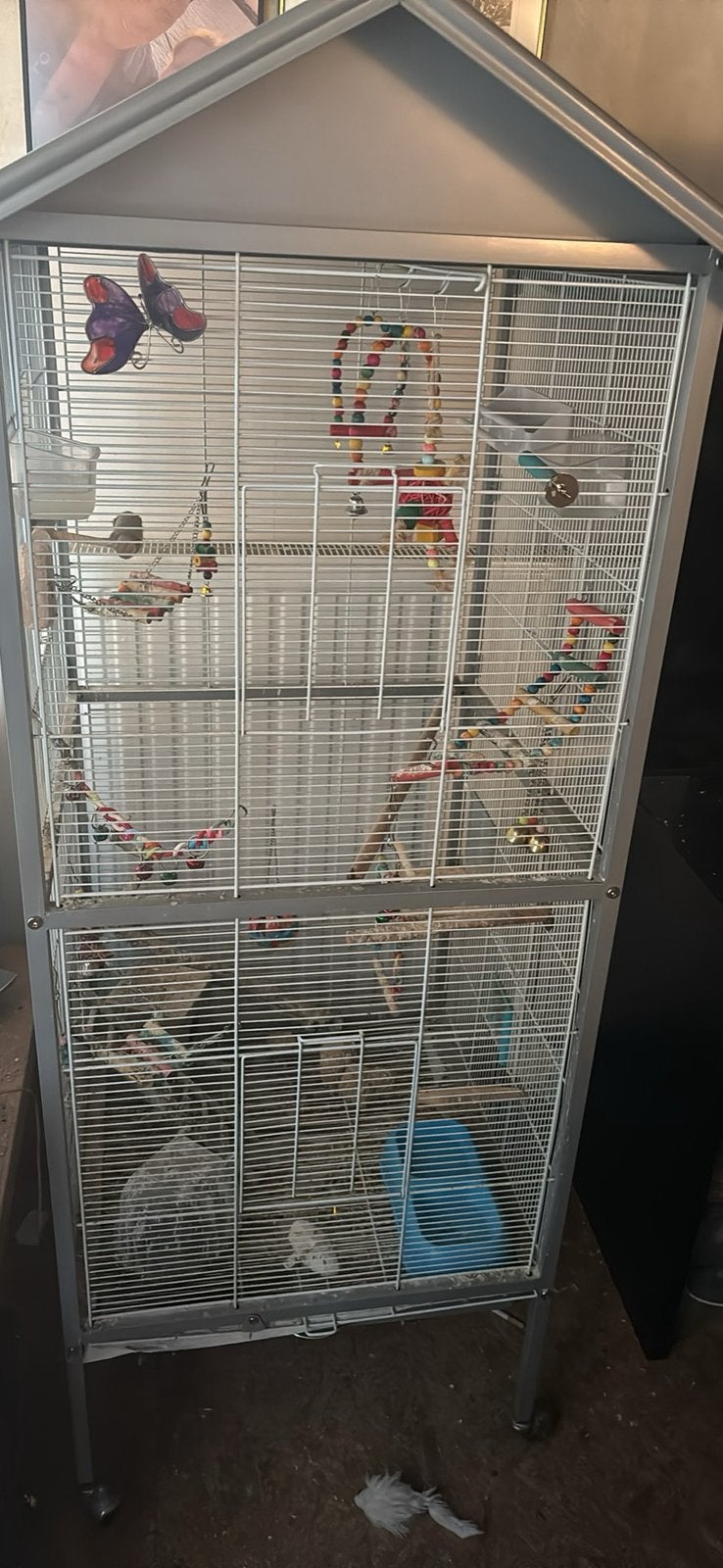 Dwerg papegaai  gratis dringend aftehalen regio hasselt, Enlèvement, Utilisé, Autres matériaux, Cage à oiseaux