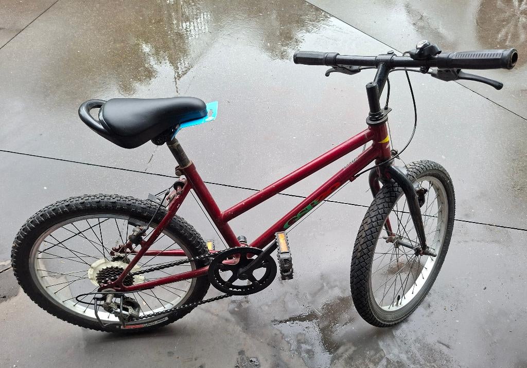 Kinderfiets 20 inch voor 6/10 jaar, Fietsen en Brommers, Fietsen | Kinderfietsjes, Ophalen, Gebruikt, 20 inch of meer