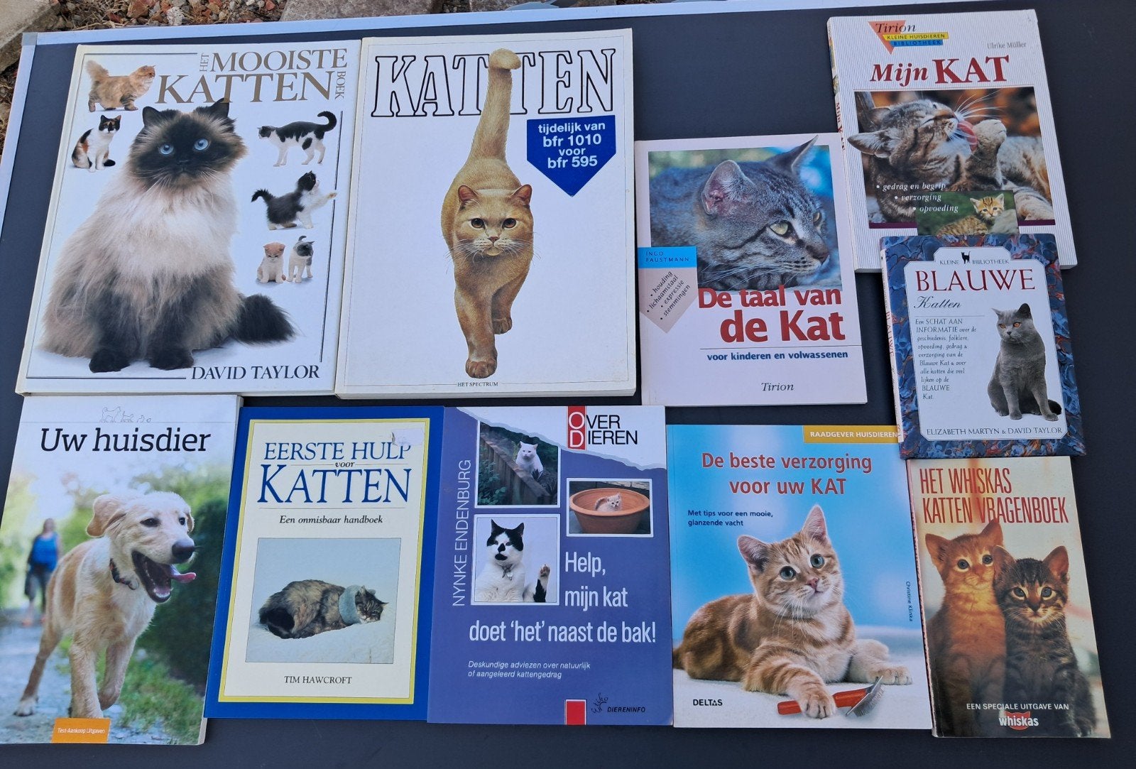 10 boeken over katten, Ophalen, Katten