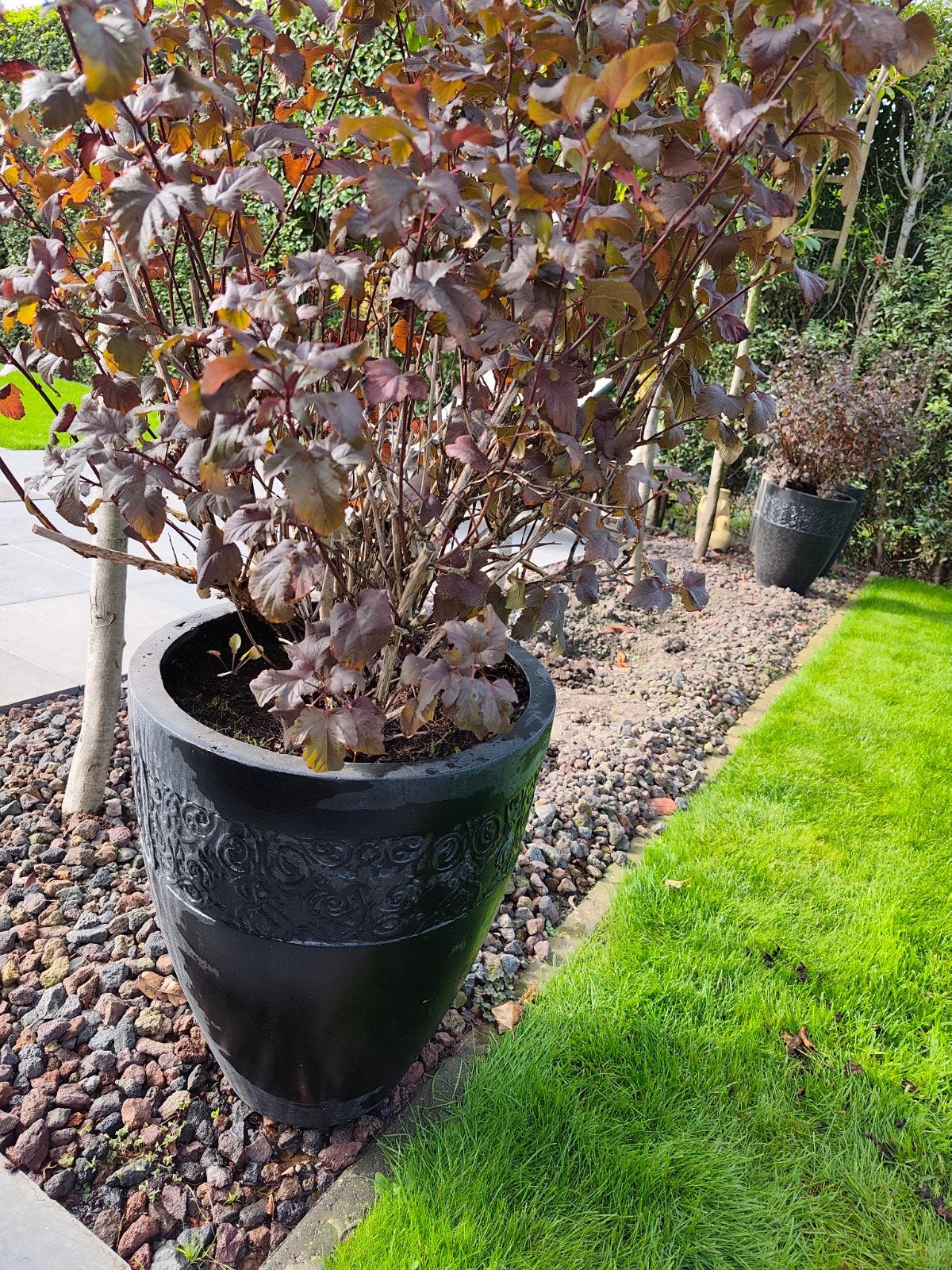 4 poten en mooie plant, Tuin en Terras, Ophalen