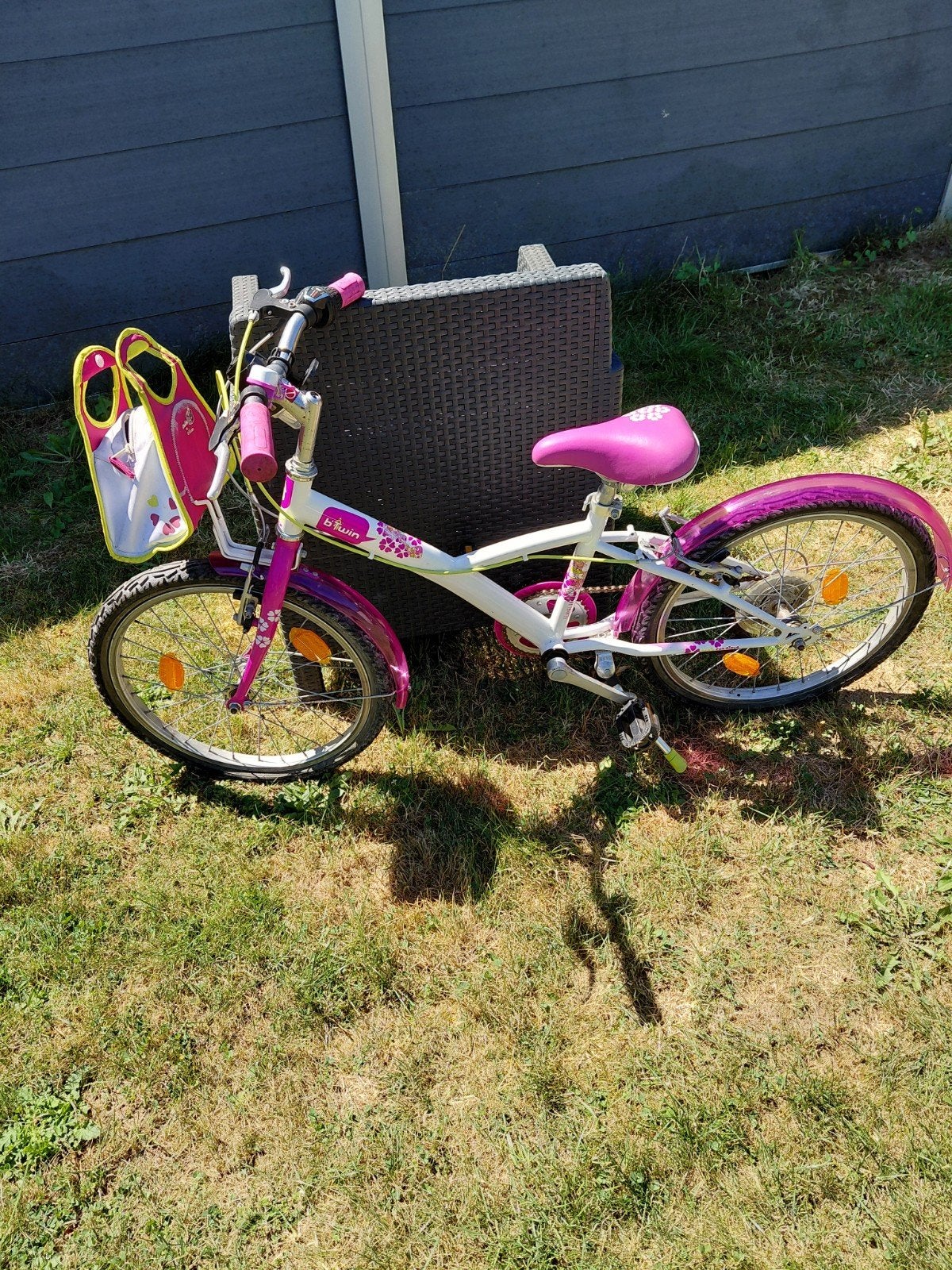 Velo fille, Enlèvement