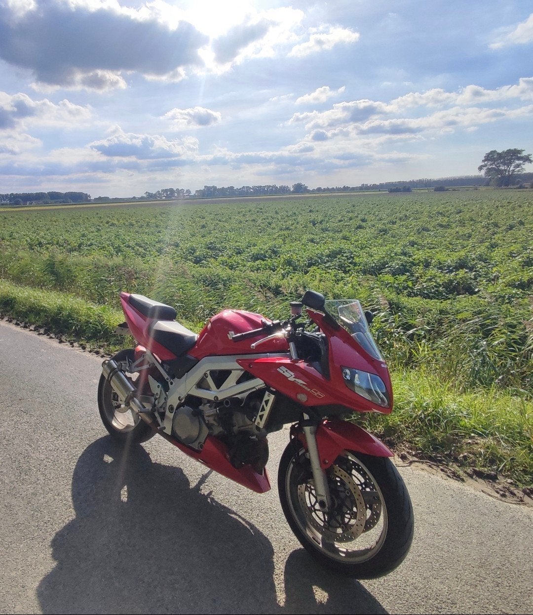 Suzuki SV 1000, Motos, Motos | Suzuki, Particulier, Tourisme, plus de 35 kW, 2 cylindres, Enlèvement