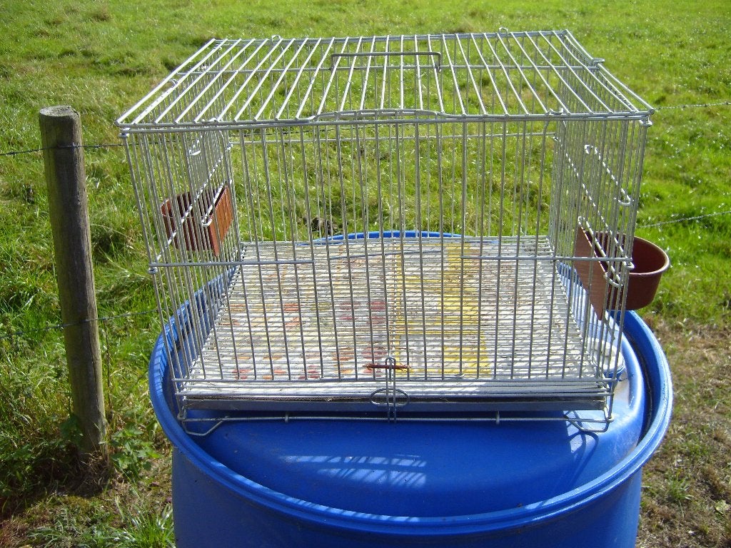 Dierenkooi Geschikt voor hamster , konijn enz ., Enlèvement, Utilisé, Hamster
