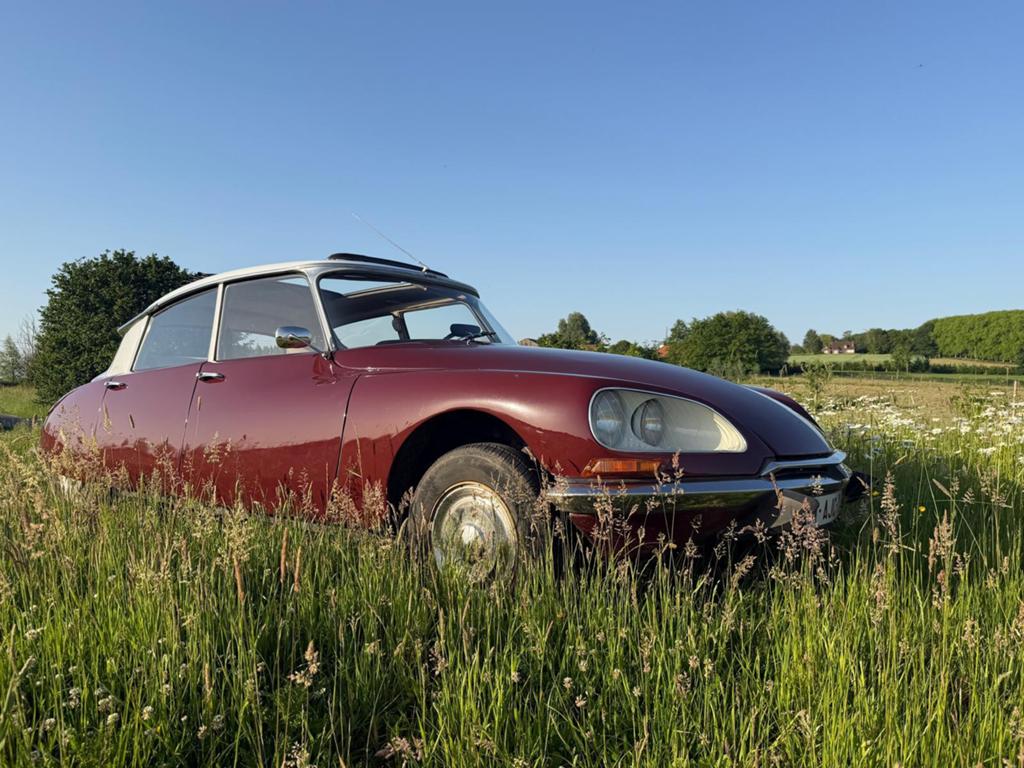 Citroën 19 DS/ID, Particulier, Te koop, Citroën