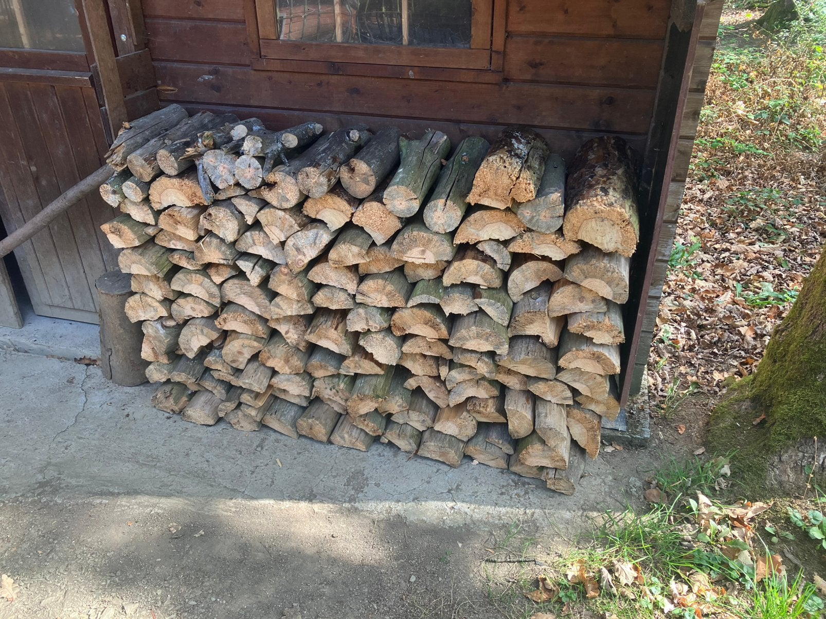 1 stère de sapin 30-40cm, Jardin & Terrasse, Moins de 3 m³, Enlèvement, Autres essences de bois, Bûches