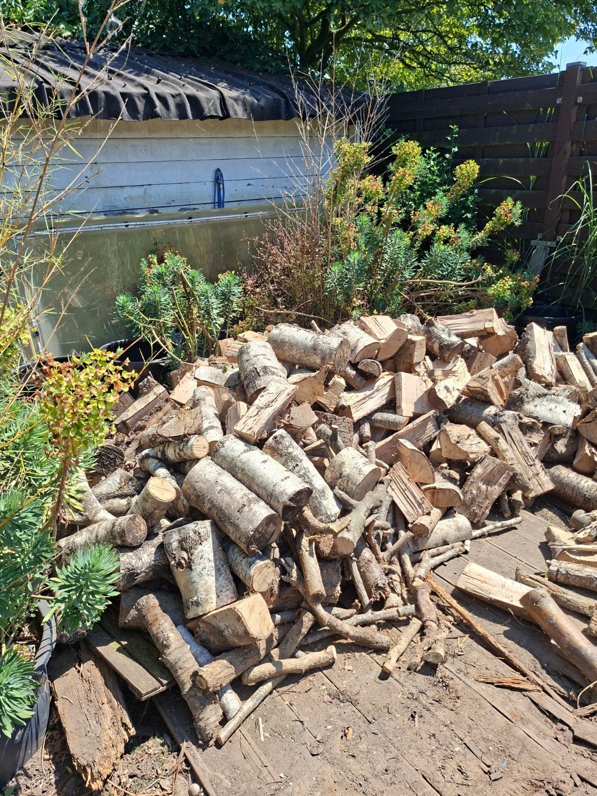 Droog brandhout, Tuin en Terras, Brandhout, Ophalen