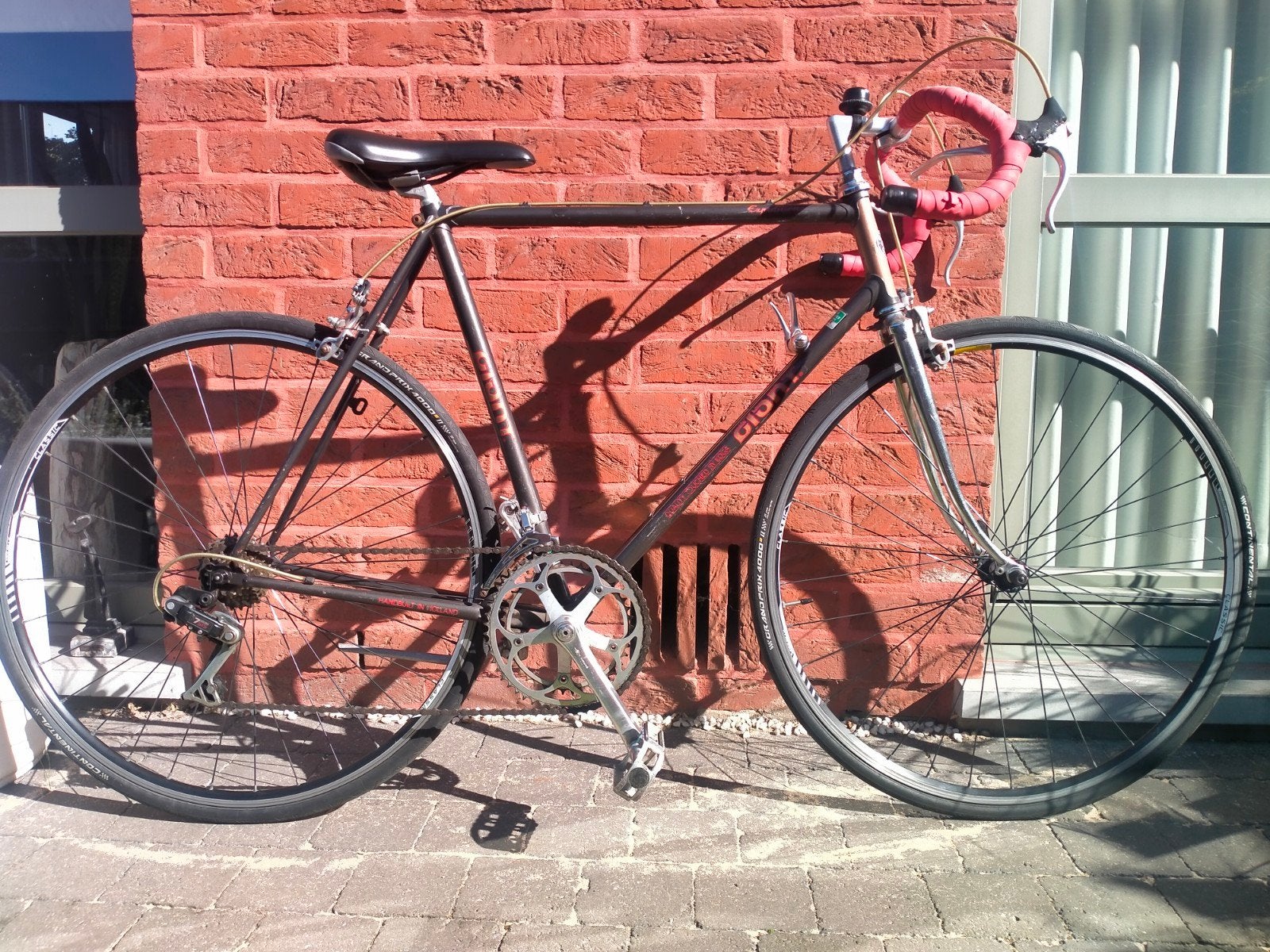 Vintage Koersfiets Giant Expedition ., Enlèvement, Giant