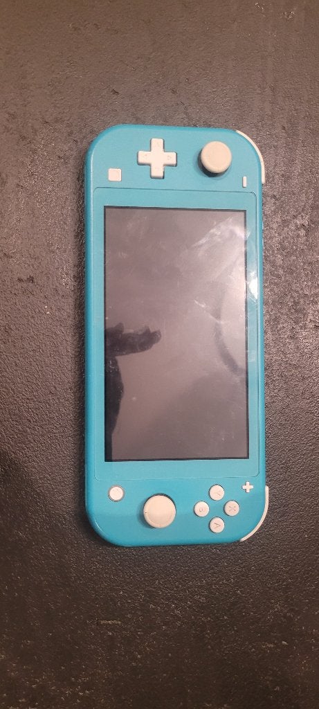 Nintendo Lite, Consoles de jeu & Jeux vidéo, Enlèvement ou Envoi, Turquoise, Utilisé, Avec housse de protection ou sac