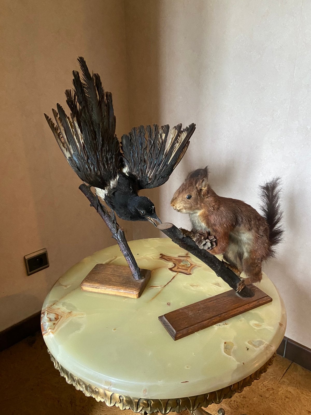 2 taxidermie beestjes, eekhoorn en vogel, Ophalen
