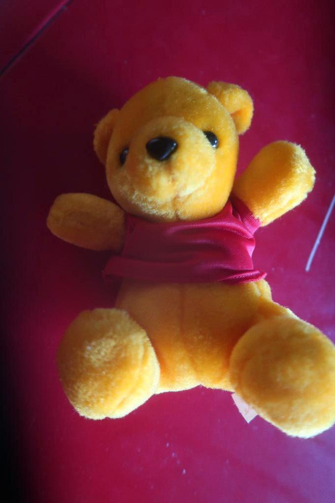 câliner Winnie l'ourson, Enlèvement ou Envoi, Comme neuf, Ours