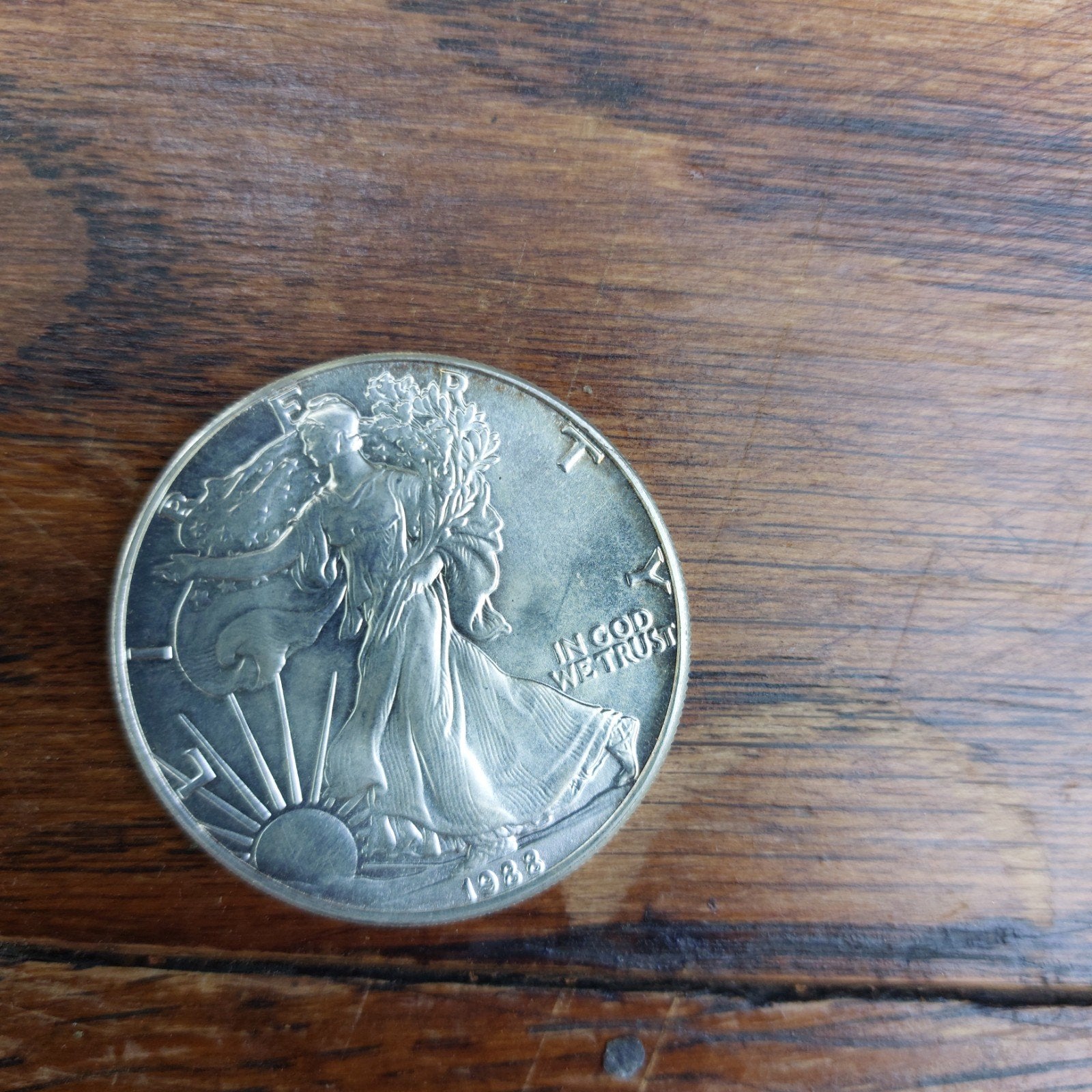 Ziveren dollar munt, Enlèvement