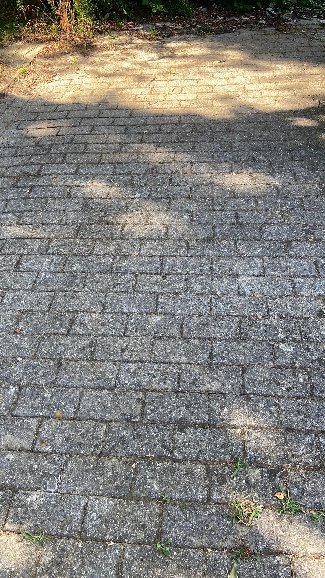Betonklinkers - vrije gift, Enlèvement, Utilisé, Briques, 10 m²² ou plus