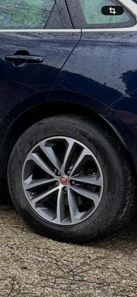 Pneus hiver Pirelli 19'' sur jantes Jaguar F-Pace, Autos : Pièces & Accessoires, Pneus hiver, 255 mm, Pneu(s), Utilisé