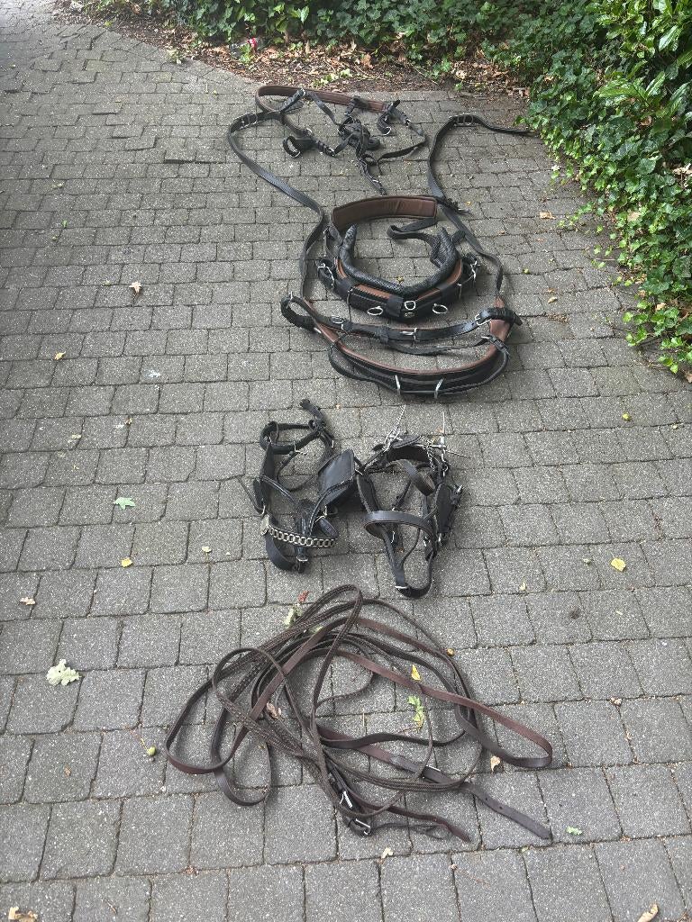 IDEAL EQUESTRIAN COB Marathontuig zwart/lichtbruin onderlegd, Dieren en Toebehoren, Ophalen, Nieuw, Overige soorten