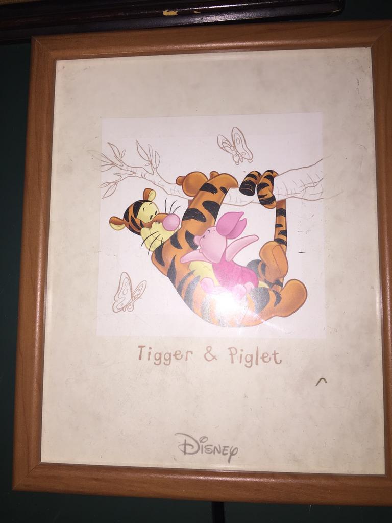 Kader met tijgetje 3euro, Verzamelen, Posters, Ophalen of Verzenden, Zo goed als nieuw