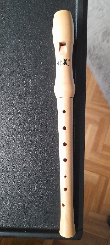 Flûte à bec, Musique & Instruments, Enlèvement, Comme neuf, Soprano ou Sopranino, Synthétique