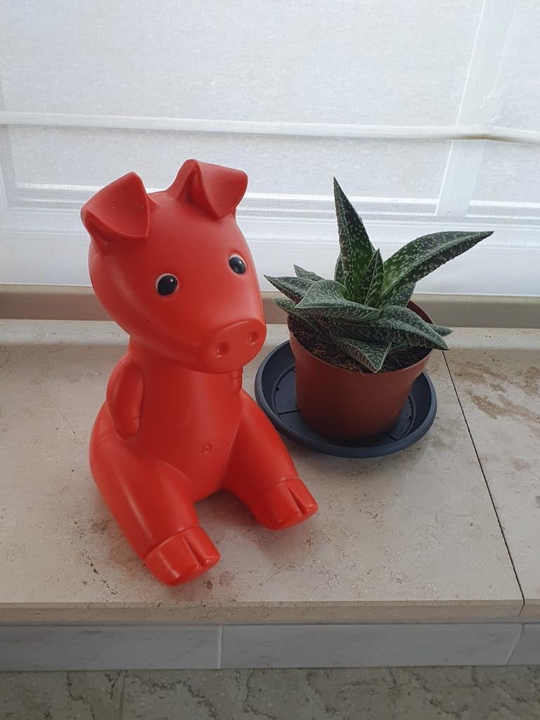 Rood spaarvarken Ikea, Ophalen