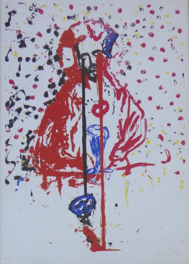 FRED BERVOETS / FRED-CHRISTUS / KLEURZEEFDRUK 97x70cm KADER, Antiquités & Art, Art | Lithographies & Sérigraphies, Enlèvement