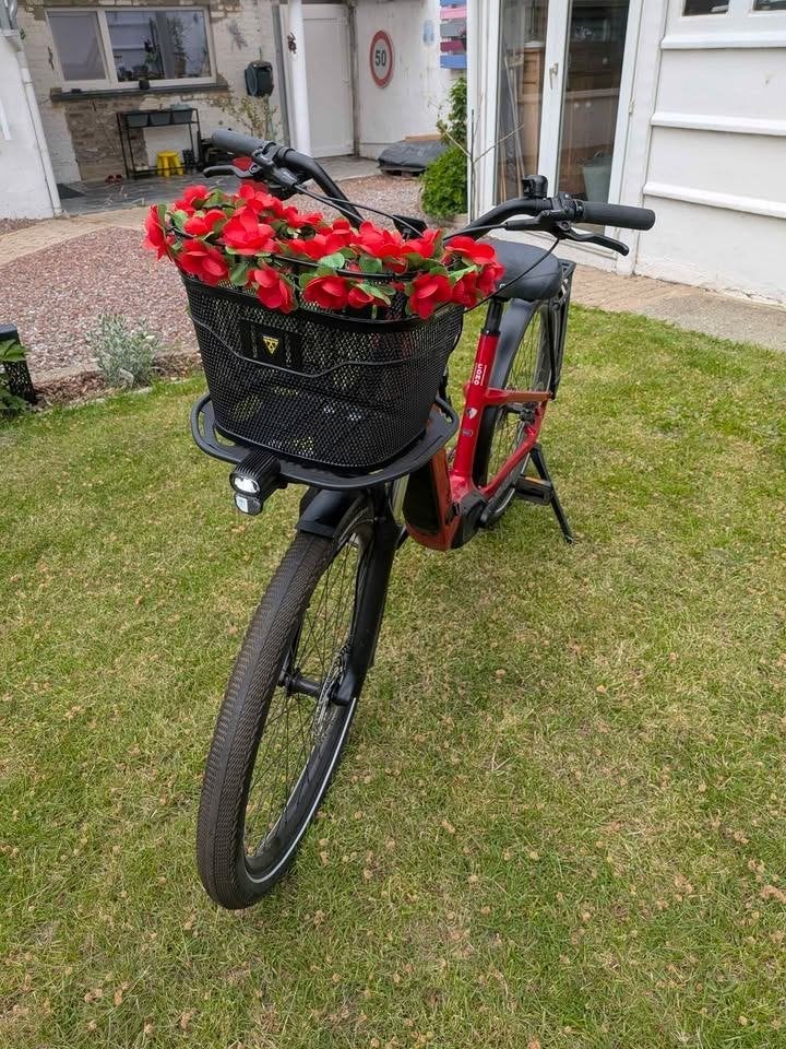 Vélo électrique Specialized, Ophalen, Zo goed als nieuw, 50 km per accu of meer, Overige merken