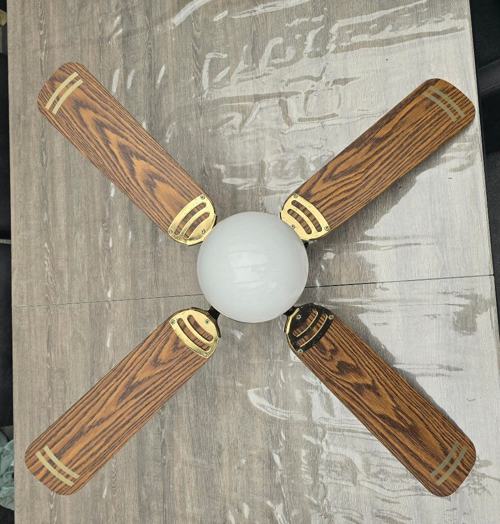 Lustre avec ventilateur et lumière, Enlèvement, Utilisé
