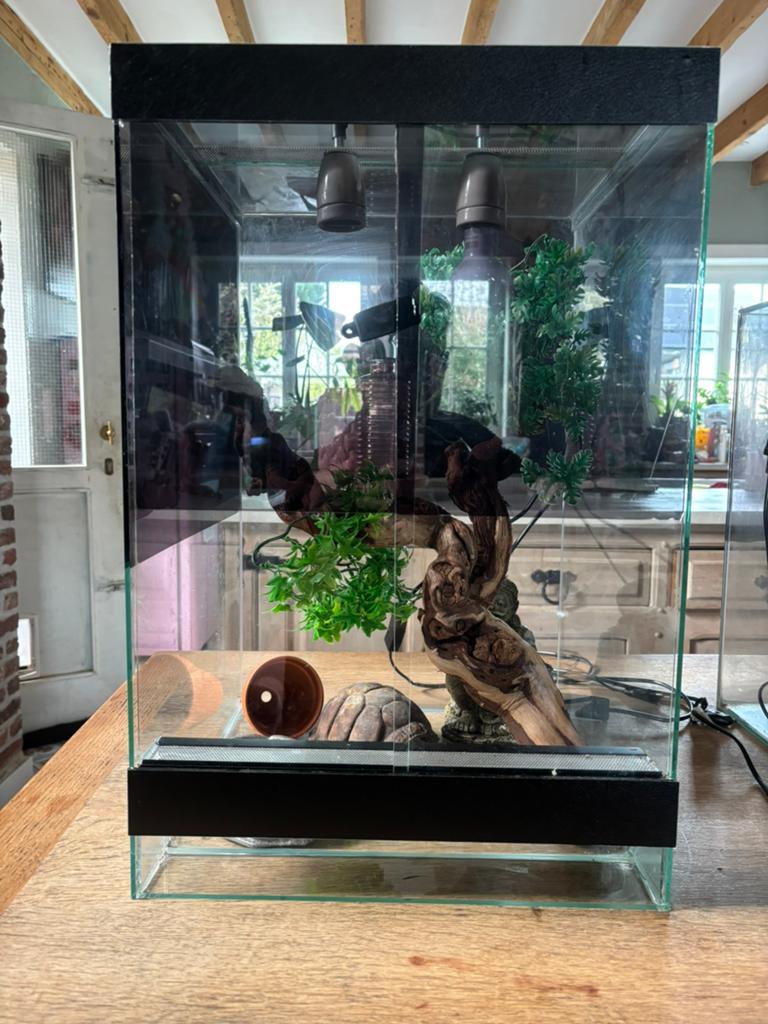 Terrarium, Enlèvement, Comme neuf, Terrarium ou Paludarium