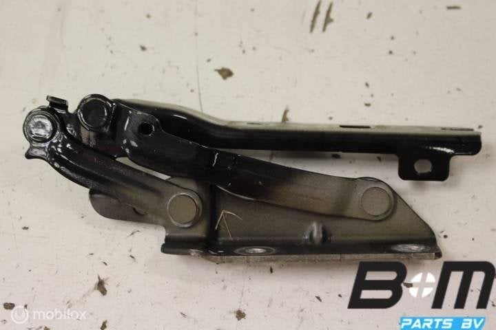 Motorkap rechts VW Golf 6 5K0823302B, Utilisé