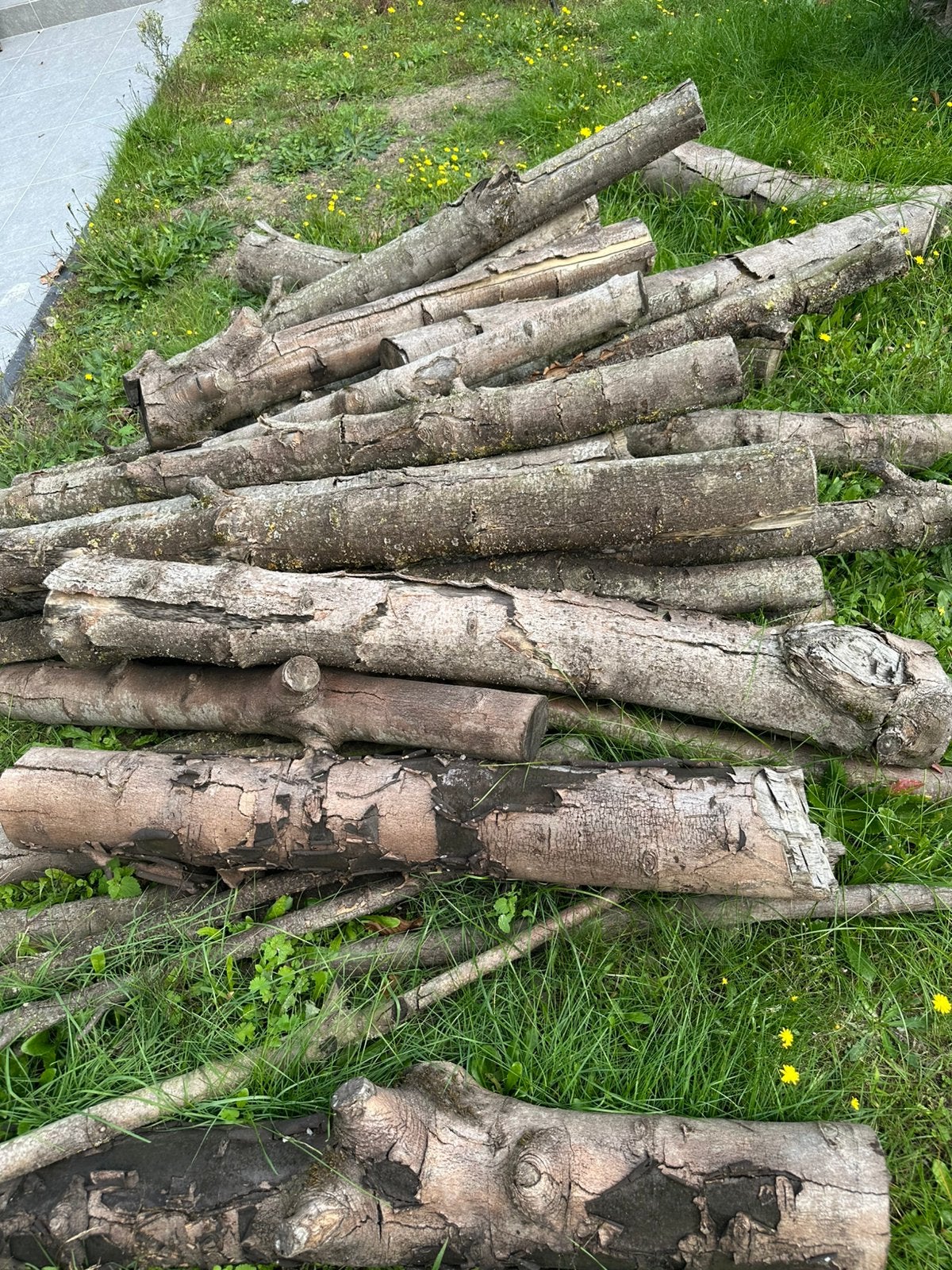 Bois de chauffage à vendre !, Jardin & Terrasse, Enlèvement ou Envoi