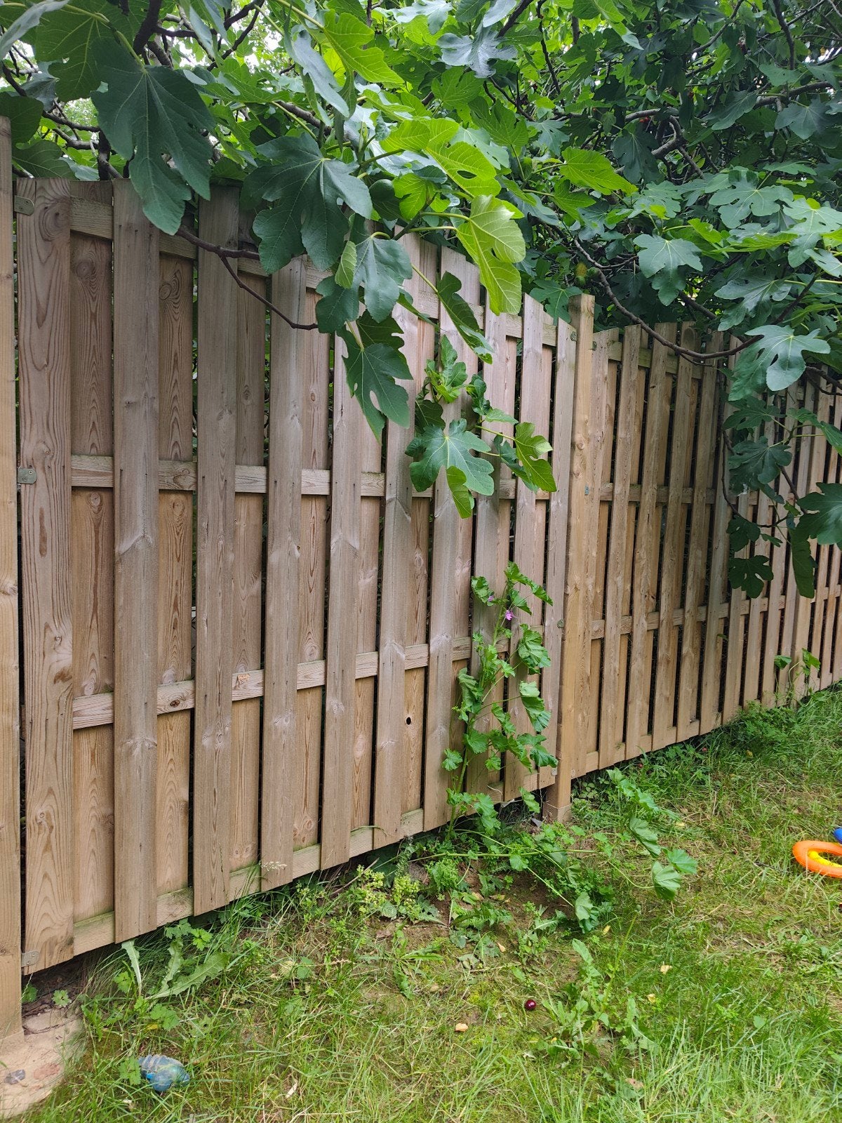 8 schuttingen in goede staat, Jardin & Terrasse, Palissades, Enlèvement