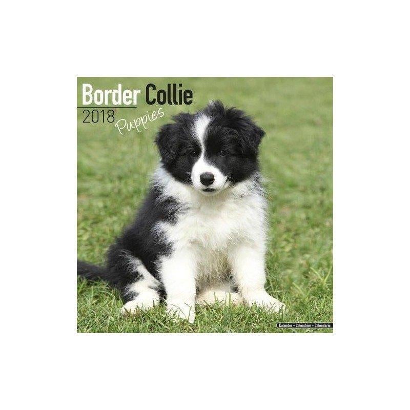 Border Collie Puppy-kalender 2018, Ophalen of Verzenden, Jaarkalender, Nieuw