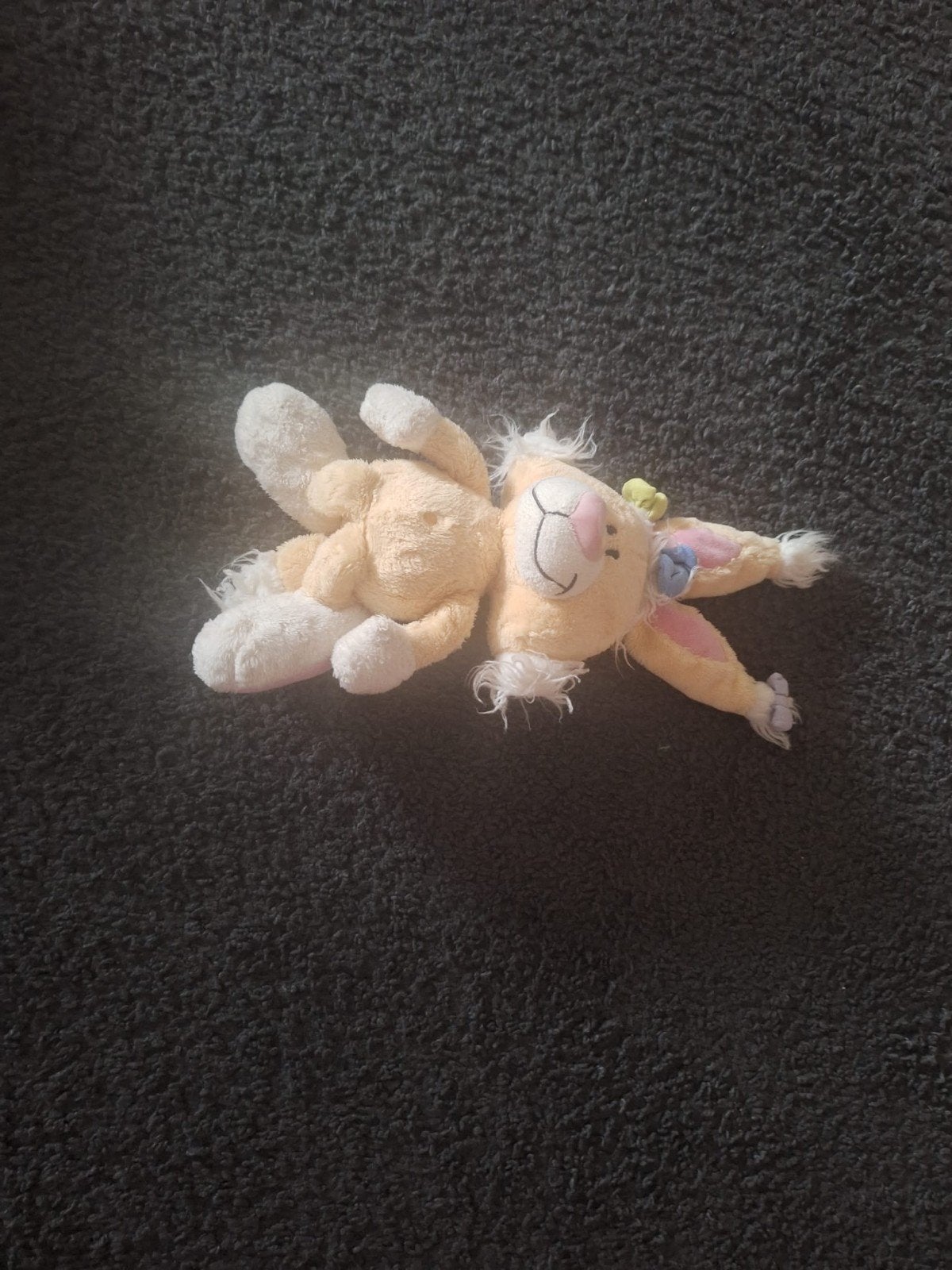 didl knuffel, Enlèvement, Peluche