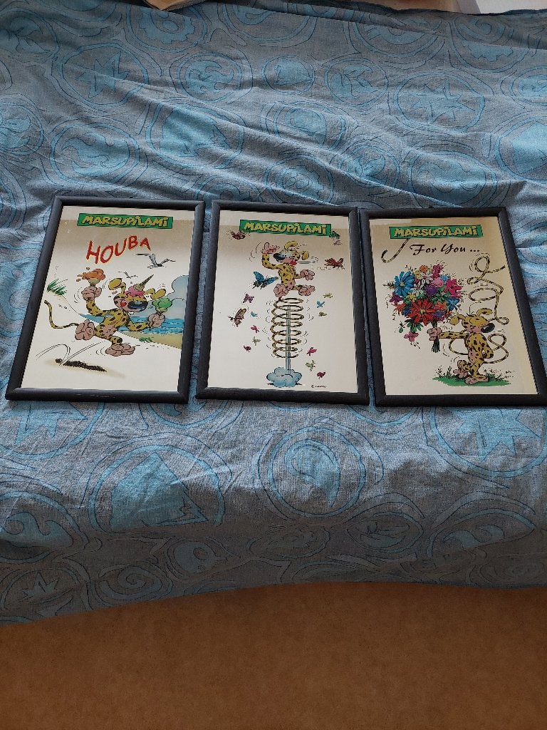 3 Kaders Marsupilami spiegel, Ophalen of Verzenden, Gelezen