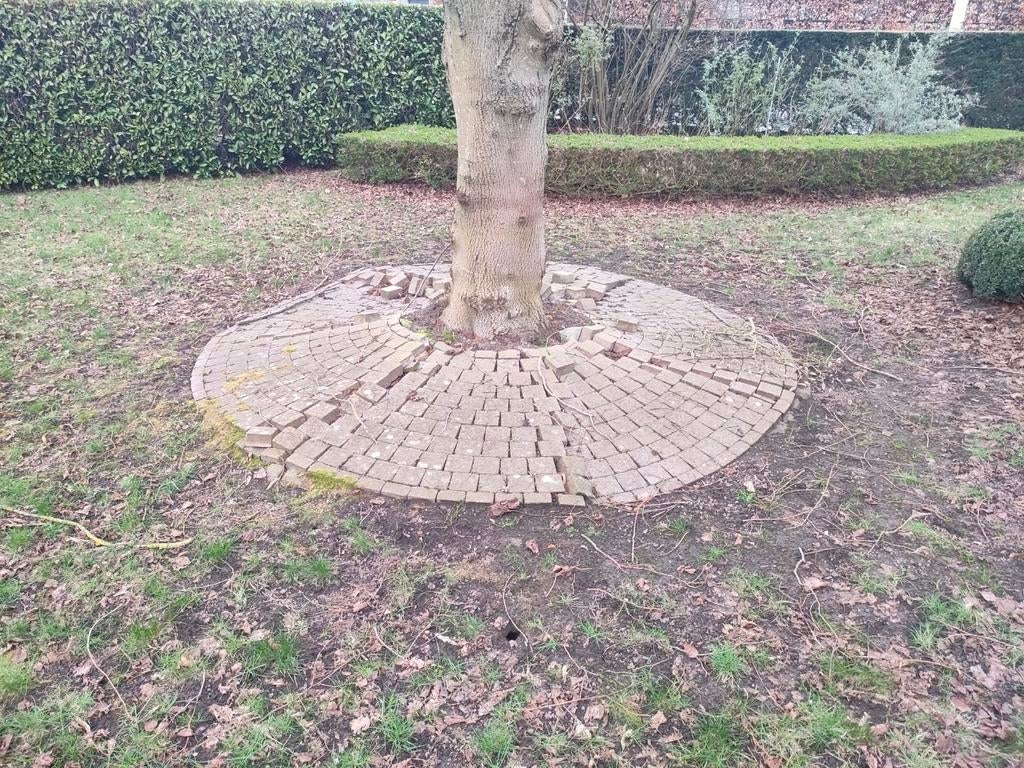 Ronde klinkers voor boom - gratis, Ophalen