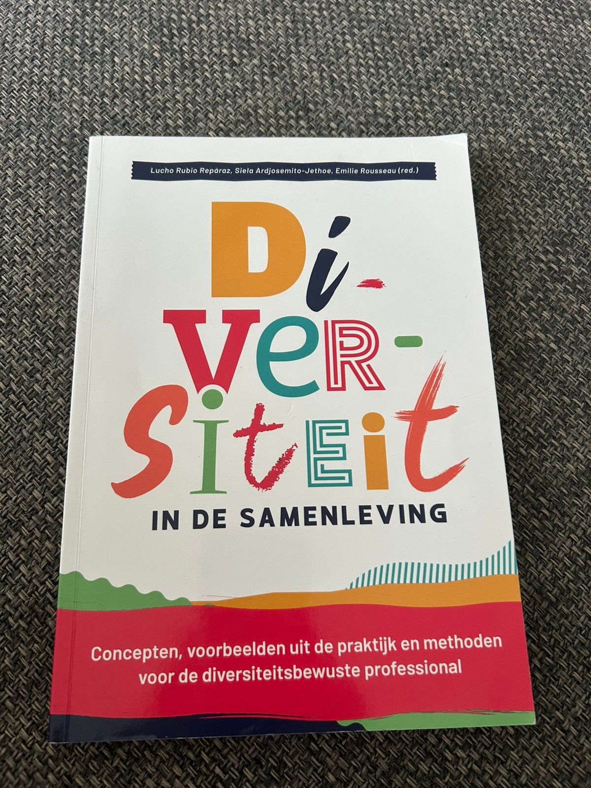 Diversiteit in de samenleving, Livres, Enlèvement ou Envoi