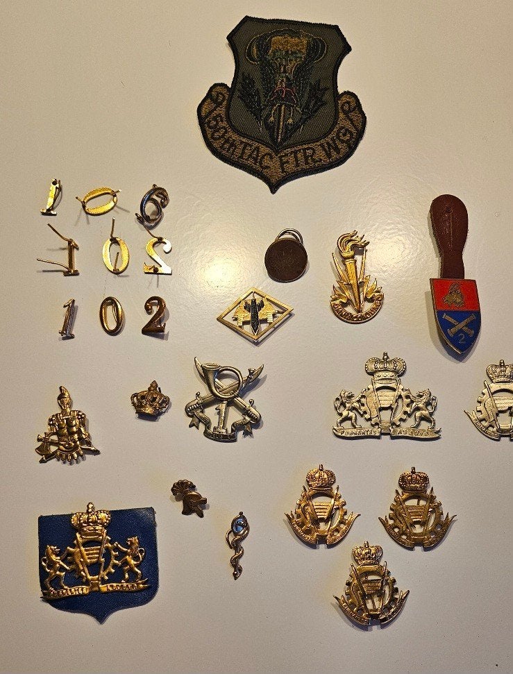 Militaire insignes en badge. ABL, Verzamelen, Ophalen of Verzenden, Embleem of Badge