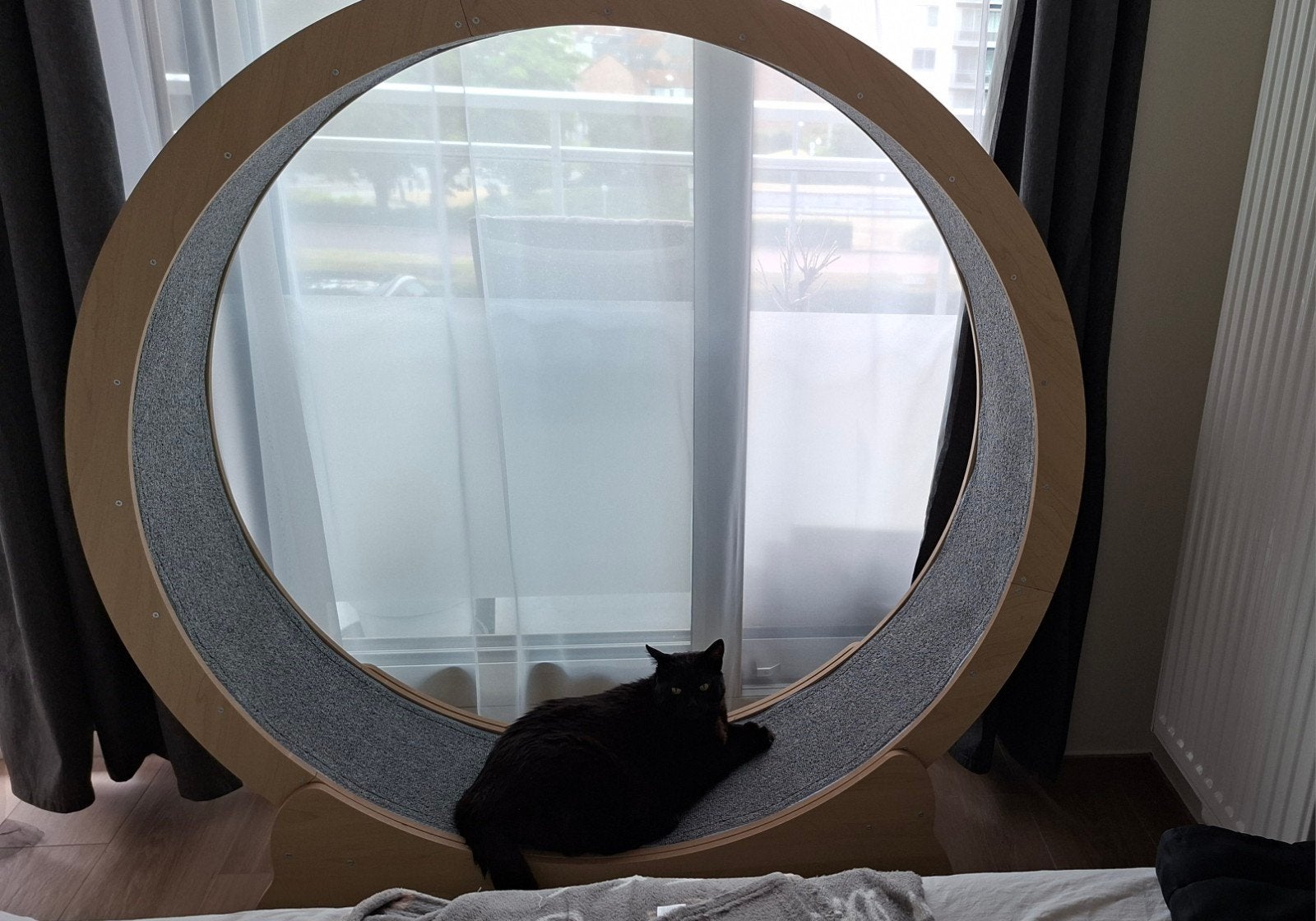 Nieuw XXL loopwiel/looprad 132 cm, ook voor grote katten, Ophalen, Nieuw, Overig speelgoed