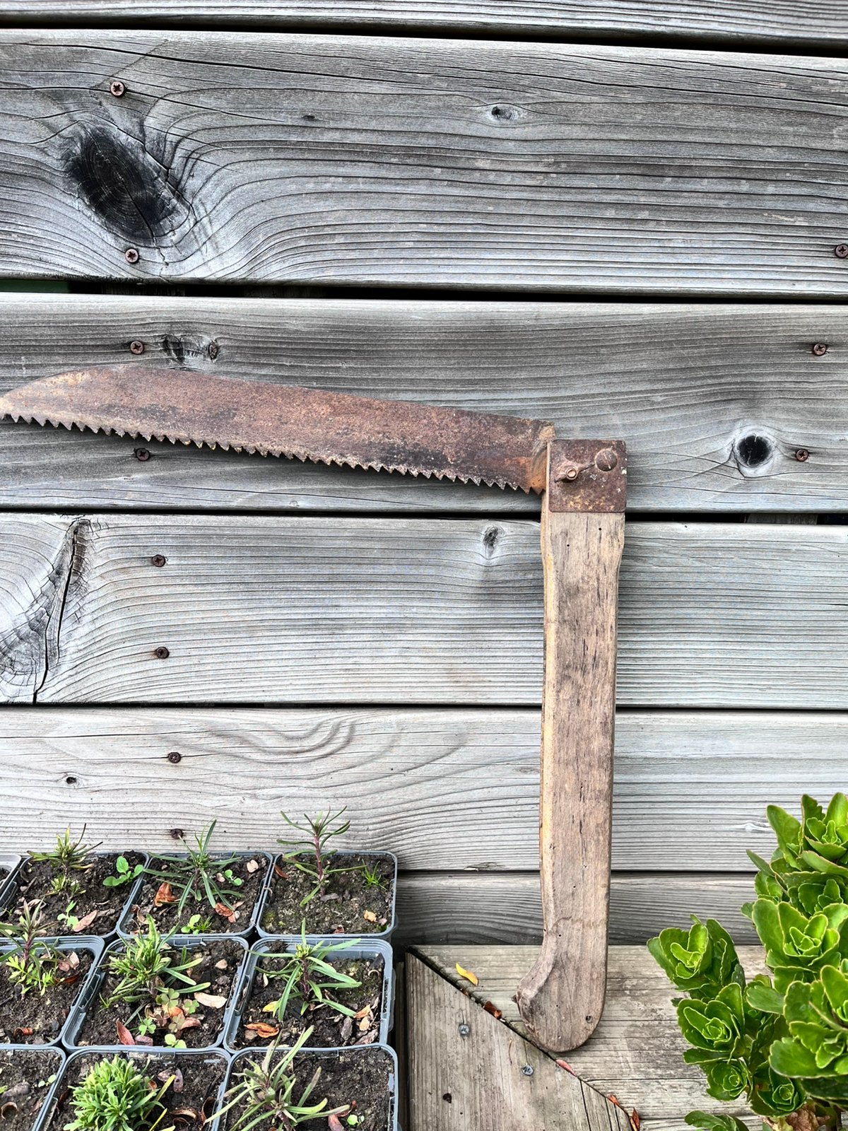 Scie à main en bois pliable ancienne, Jardin & Terrasse, Enlèvement ou Envoi, Utilisé, Scie à main